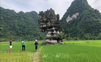 Đánh giá khảo sát Công viên địa chất toàn cầu UNESCO Non nước Cao Bằng
