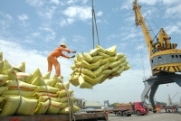 Xuất khẩu của An Giang tăng 25,44% trong tháng 1 năm 2019