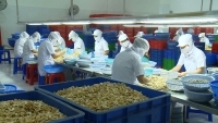 9 tháng: Chỉ số phát triển công nghiệp tỉnh Long An tăng 16,03%