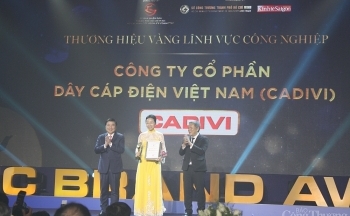 TP. Hồ Chí Minh: 30 doanh nghiệp nhận giải thưởng Thương hiệu vàng