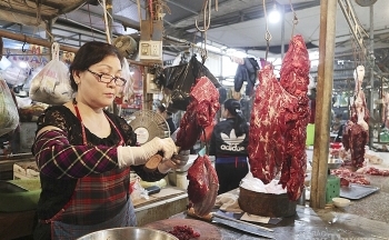 Thịt trâu bò 