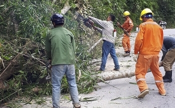 Nghệ An cần gần 1.000 tỷ đồng để cải tạo lưới điện sau bàn giao