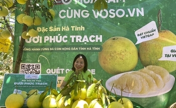 Hà Tĩnh: 10 tấn bưởi Phúc Trạch đã được tiêu thụ trên sàn thương mại điện tử