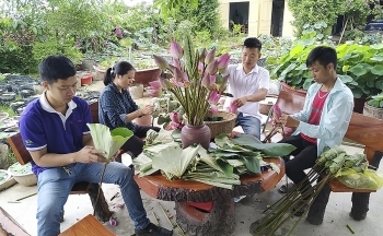 Nghệ An: Chuẩn hóa các sản phẩm OCOP