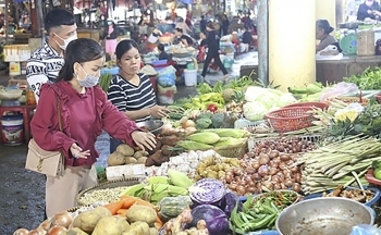 Hà Tĩnh: Giá rau xanh tăng gấp 4 lần so với ngày thường