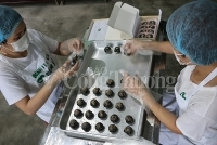 Về nguồn khởi nghiệp với 