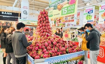 Doanh nghiệp phân phối đẩy mạnh tiêu thụ thanh long