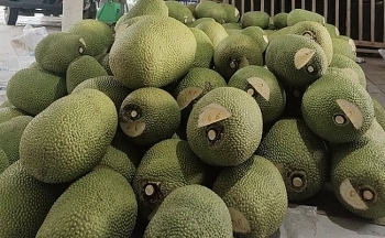 Thay đổi tư duy và chuẩn hoá để nông sản không bị “chữa cháy”