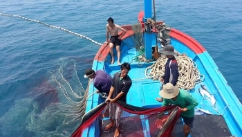 Gấp rút hoàn thành mục tiêu gỡ 