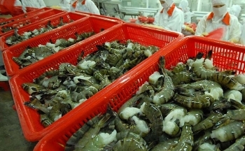 Việt Nam vẫn là nguồn cung tôm thứ tư của Hoa Kỳ