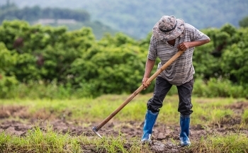 Biến đổi khí hậu là thách thức chính đối với sản xuất lương thực tại khu vực Đông Nam Á