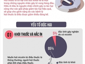 Đâu là yếu tố gây hại nhất trong thuốc lá điếu?