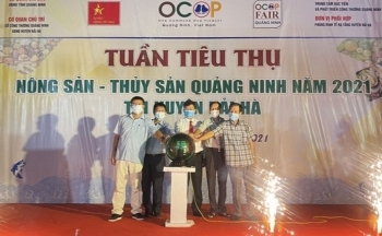 Lời giải cho “bài toán” tiêu thụ nông lâm thủy sản trong tình hình mới của Quảng Ninh - Bài 1: Thúc đẩy lưu thông, tiêu thụ nông sản trong mùa dịch