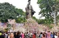 Hấp dẫn Lễ hội hoa anh đào Nhật Bản - Hà Nội 2019