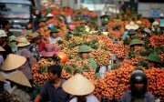 Xuất khẩu rau quả: Hiện thực hóa tiềm năng