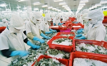 VCCI đề nghị không chồng chéo trong kiểm tra, xác minh xuất xứ hàng hoá