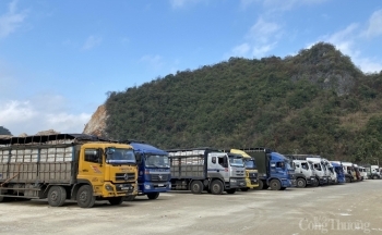 Lạng Sơn giảm phí sử dụng hạ tầng các cửa khẩu để hỗ trợ doanh nghiệp