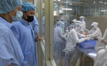 Quản lý chất lượng sản phẩm hàng hoá: Triển khai đồng bộ nhiều nhiệm vụ