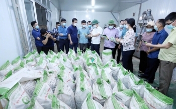 Lạng Sơn: Nâng cao giá trị, mở rộng thị trường cho sản phẩm thạch đen
