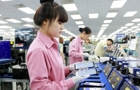 Thiếu nguyên, phụ liệu cho sản xuất công nghiệp