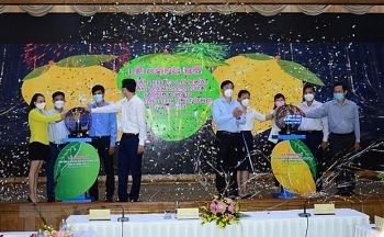Đồng Tháp công bố xuất khẩu lô xoài đầu năm sang thị trường châu Âu