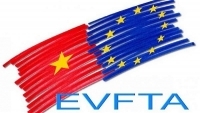 Hội thảo “Hiệp định EVFTA - Thế và lực để kinh tế Việt Nam phát triển bền vững”