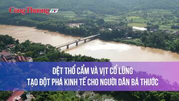 Dệt thổ cẩm và vịt cổ lũng tạo đột phá kinh tế cho người dân Bá Thước