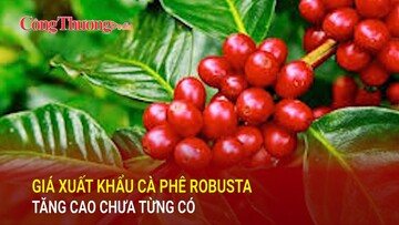 Giá Liên Minh Truyền Thông Và Game Giải Trí Top 1 cà phê Robusta tăng cao chưa từng có