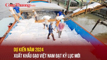 Dự kiến năm 2024 xuất khẩu gạo Việt Nam đạt kỷ lục mới