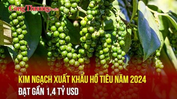 Kim ngạch xuất khẩu hồ tiêu năm 2024 đạt gần 1,4 tỷ USD