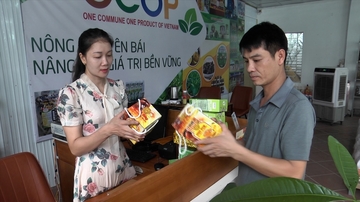 Yên Bái có 273 sản phẩm OCOP được chứng nhận