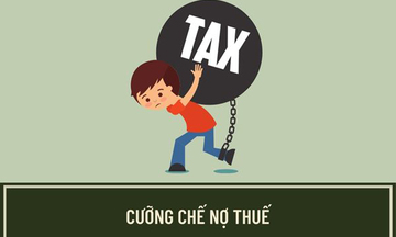 Cưỡng chế thuế Công ty CP Việt Bo Việt tại Đồng Nai