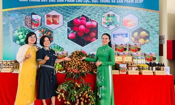 Bắc Giang: Tổ chức tiêu thụ vải thiều tại các khu công nghiệp
