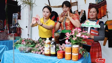 Mega Live mở đường, Sơn La đón đầu mùa vụ nông sản 2025