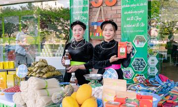 Mật ong bạc hà, chè Shan Tuyết và hành trình tìm thị trường của Hà Giang