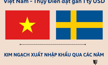 Kim ngạch xuất nhập khẩu Việt Nam - Thụy Điển đạt gần 1 tỷ USD 
