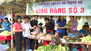 Từ rẻo cao ra phố chợ: Hành trình nông sản Tuyên Quang tìm lối đi riêng