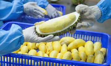 Không có con đường tắt cho xuất khẩu rau quả