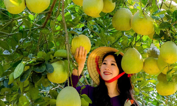Thu nhập nông thôn mới: Nỗ lực rút ngắn khoảng cách
