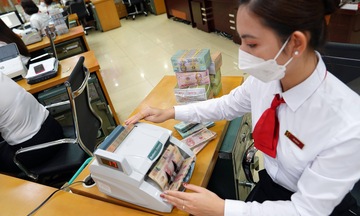 Vay đến 500 triệu, không cần thế chấp với hộ kinh doanh nông nghiệp