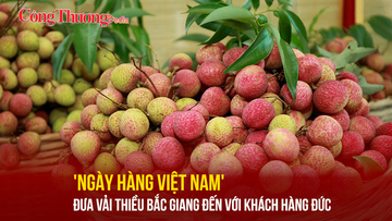 'Ngày hàng Việt Nam' - đưa vải thiều Bắc Giang đến với khách hàng Đức