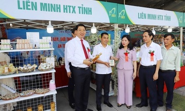 Thanh Hóa: Thu nhập nông thôn tăng gấp 7 lần sau 14 năm