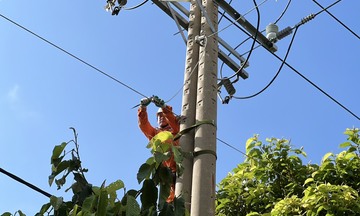 Lịch cúp điện tỉnh Bà Rịa - Vũng Tàu từ ngày 24 đến 26/6/2025