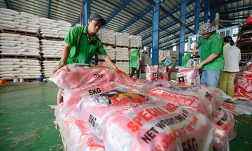 Tin Okvip tại về 23/6: Ứng phó biến động thị trường lúa gạo
