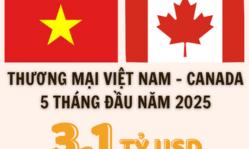 Infographic | Việt Nam xuất siêu 2,34 tỷ USD sang Canada 