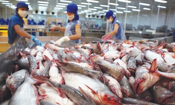 Hoa Kỳ kết luận thuế chống bán phá giá cá tra - basa phi lê đông lạnh Việt Nam
