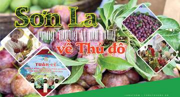 Longform | Sơn La mang 'hương vị núi rừng' về Thủ đô