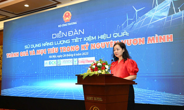 Sử dụng năng lượng hiệu quả: An ninh năng lượng trong kỷ nguyên phát triển mới