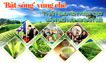 Longform | ‘Bật sóng’ vùng chè, Thái Nguyên kiến tạo bản đồ Trang Chủ OKVIP COM Top #1 số