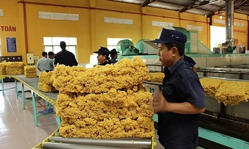 Malaysia là thị trường xuất khẩu cao su lớn thứ 4 của Việt Nam 